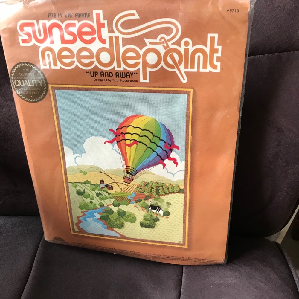 Up and Away needlepoint 🥰
